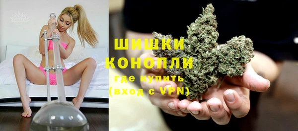 молекула духа Верхний Тагил