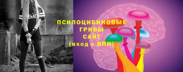гашик Слюдянка