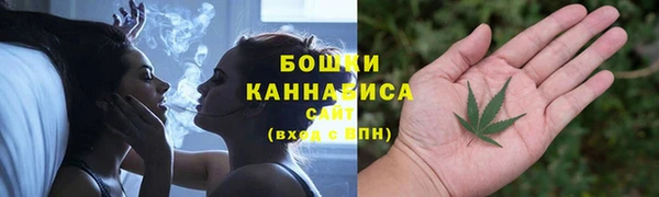 МДПВ Снежногорск