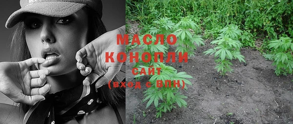 молекула духа Верхний Тагил
